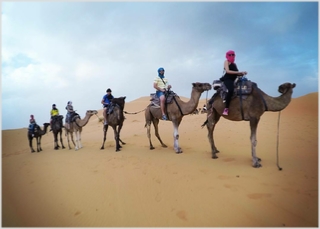 Tour from Casablanca