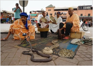 Excursion in Morocco