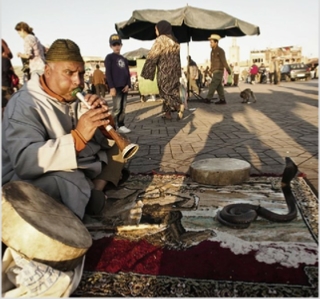 Must See Attractions in Morocco