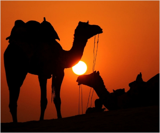 Activities in Morocco Activities in Morocco