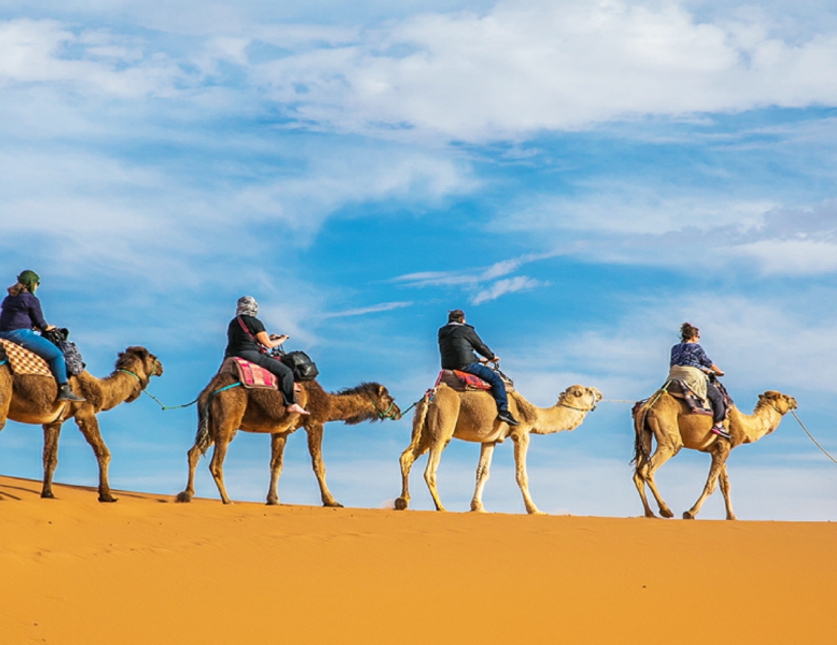 Tours from Marrakesh