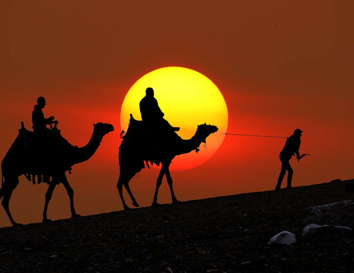 Tours from Marrakesh