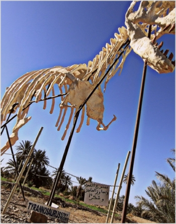 Tour departure Marrakech