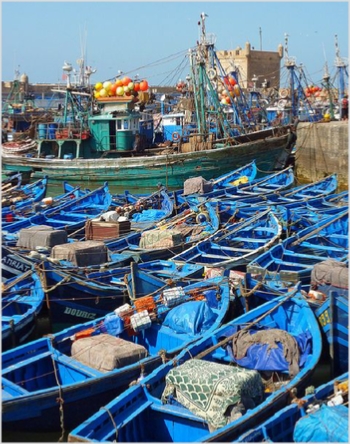 Day Trip from Marrakesh Day Trip from Marrakesh