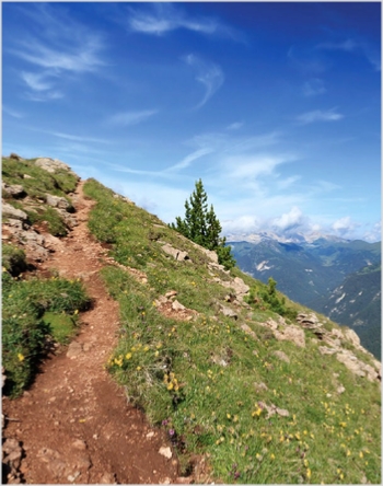 Day Trip from Marrakesh