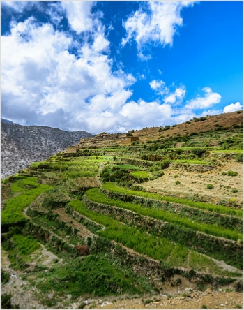 Day Trip from Marrakesh